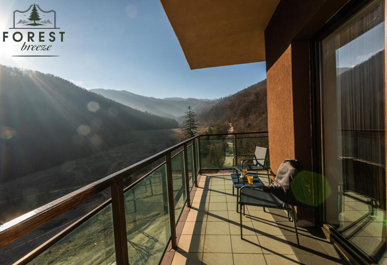 Forest Breeze Apartterrace Brasov Bagian luar foto