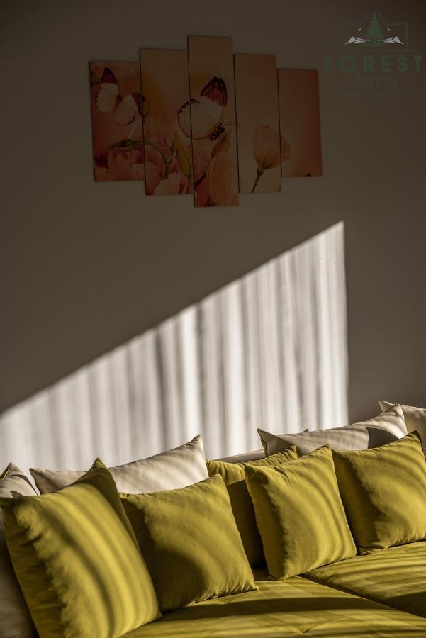 Forest Breeze Apartterrace Brasov Bagian luar foto
