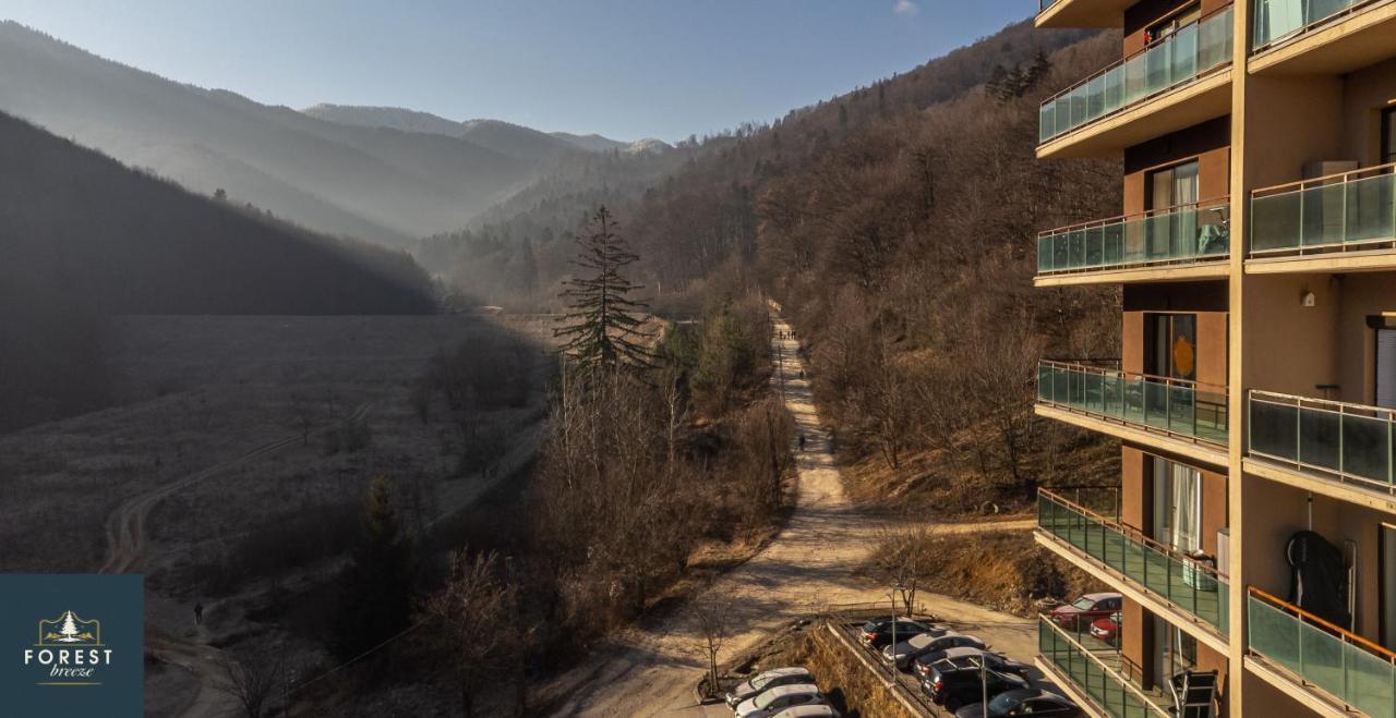 Forest Breeze Apartterrace Brasov Bagian luar foto