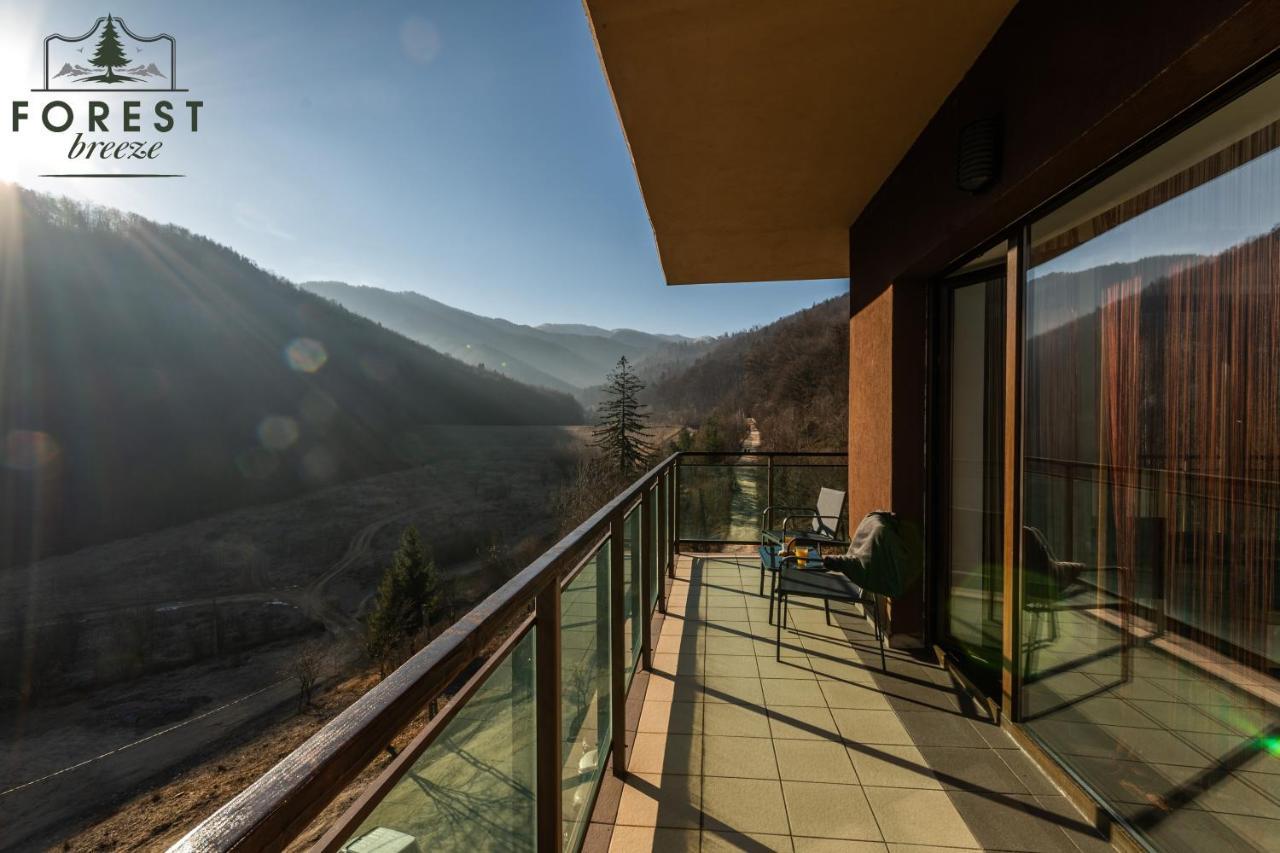 Forest Breeze Apartterrace Brasov Bagian luar foto