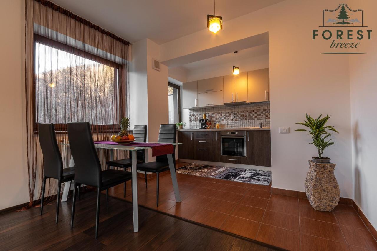 Forest Breeze Apartterrace Brasov Bagian luar foto