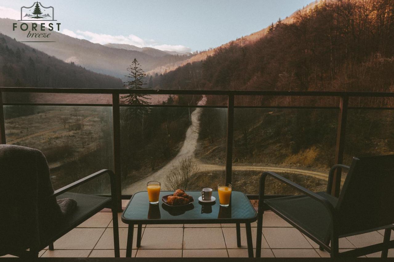 Forest Breeze Apartterrace Brasov Bagian luar foto