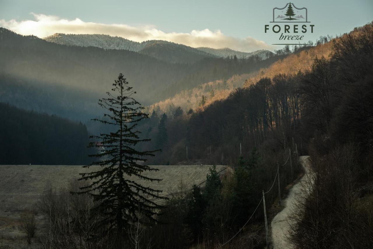 Forest Breeze Apartterrace Brasov Bagian luar foto