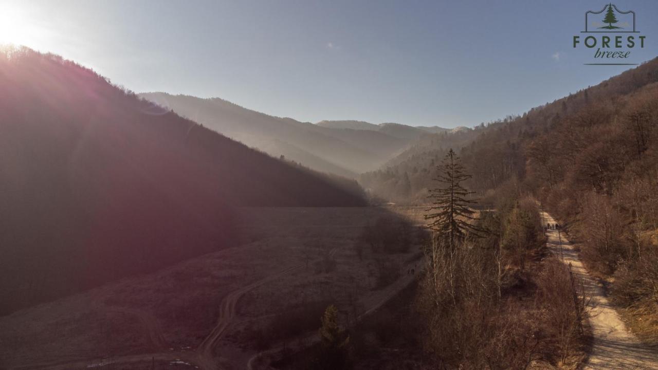 Forest Breeze Apartterrace Brasov Bagian luar foto