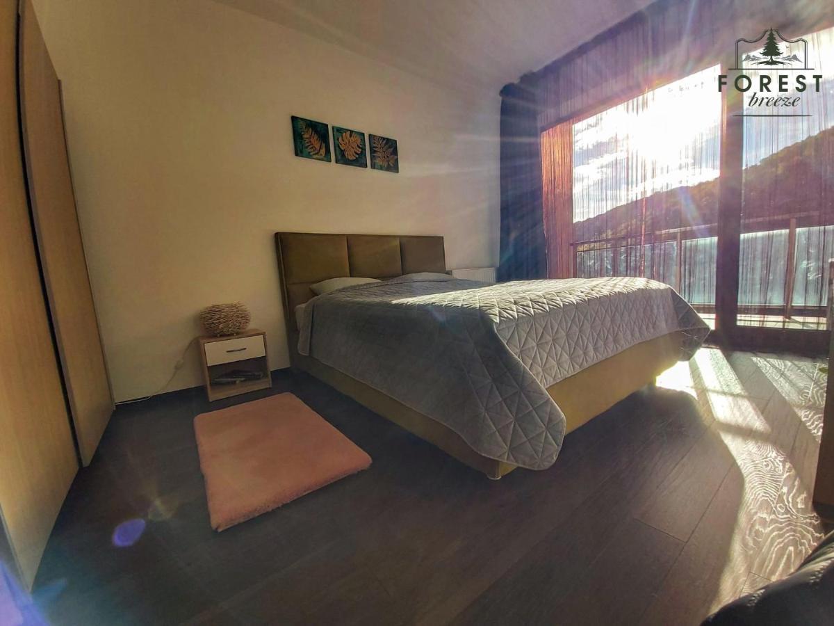 Forest Breeze Apartterrace Brasov Bagian luar foto